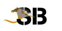 saifbelhasaholding